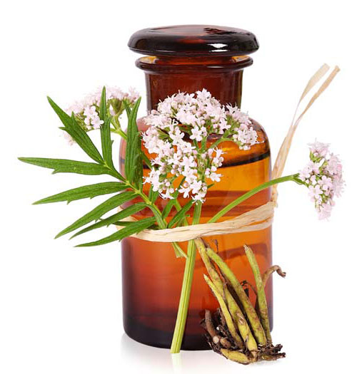 Slide Image for Zabrecky Institute of Biomedicine | Integrative and Functional Medicine | Philadelphia & Villanova